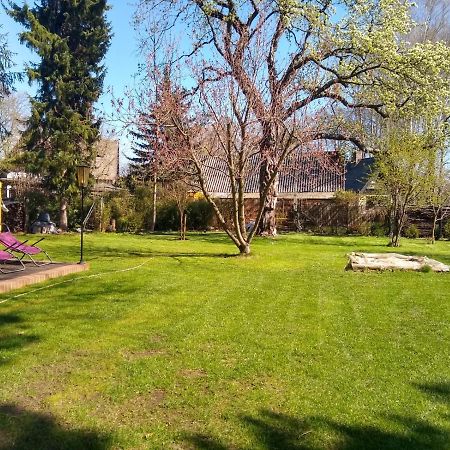 Вілла Bleichehof Бург Екстер'єр фото