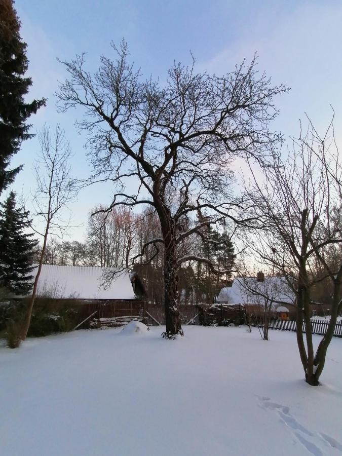 Вілла Bleichehof Бург Екстер'єр фото