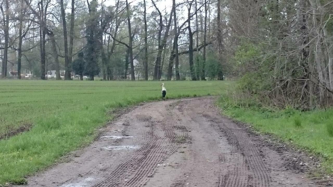 Вілла Bleichehof Бург Екстер'єр фото